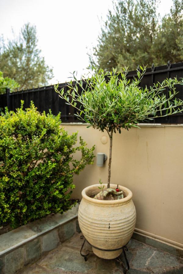 Amaryllis Holiday Home Agios Spyridon  외부 사진