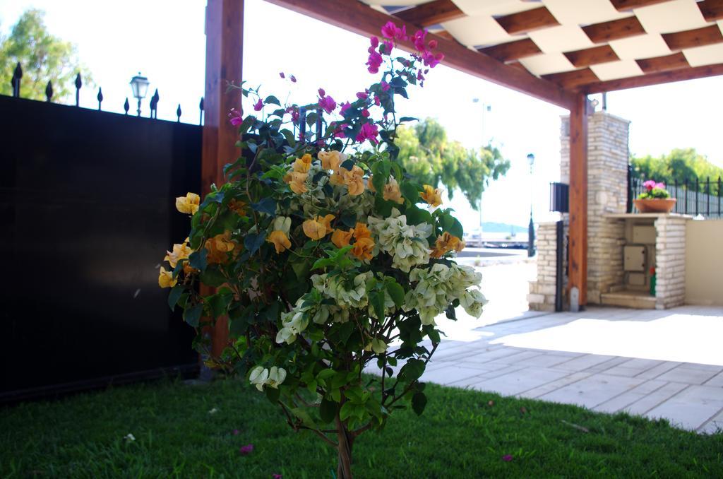 Amaryllis Holiday Home Agios Spyridon  외부 사진